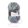 Bravo Color - Moor color