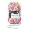 Bravo Color - Dinnye