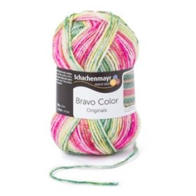 Bravo Color - Dinnye